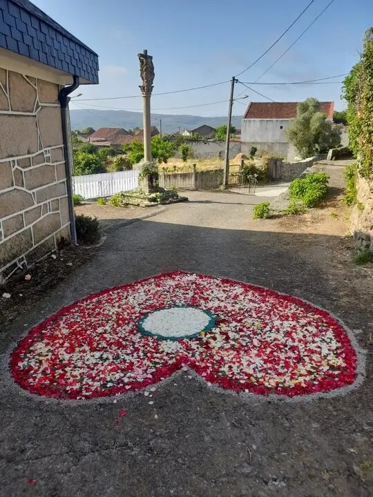 202506 Corpus Medeiros Monterrei, alfombras florais (3)