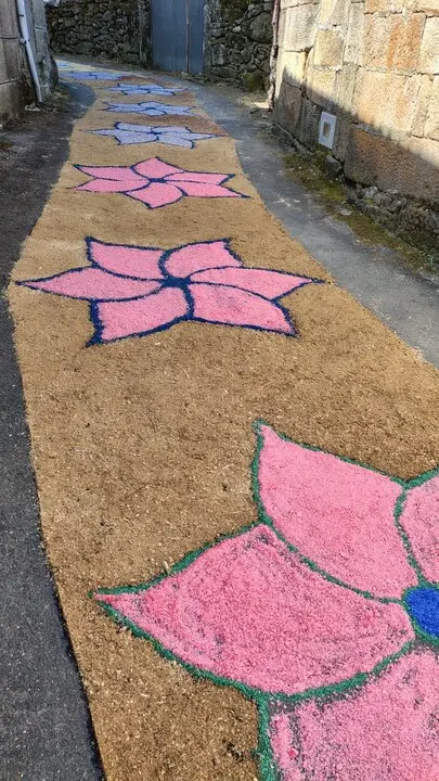 202506 Corpus San Cristovo Monterrei, alfombras florais (11)