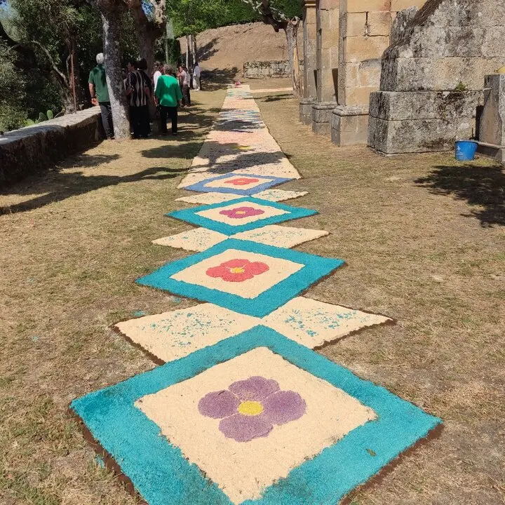 202506 Corpus O&iacute;mbra, alfombras florais  (1)