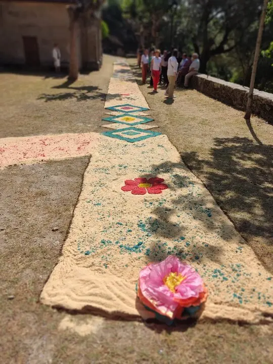202506 Corpus O&iacute;mbra, alfombras florais  (2)