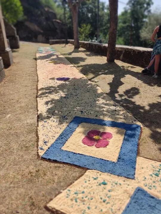 202506 Corpus O&iacute;mbra, alfombras florais  (4)
