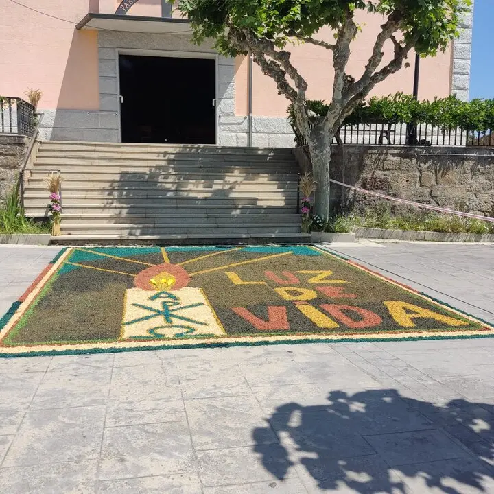 202506 Corpus O&iacute;mbra, alfombras florais  (6)
