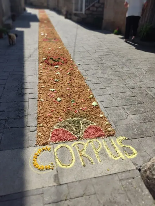 202506 Corpus O&iacute;mbra, alfombras florais  (9)