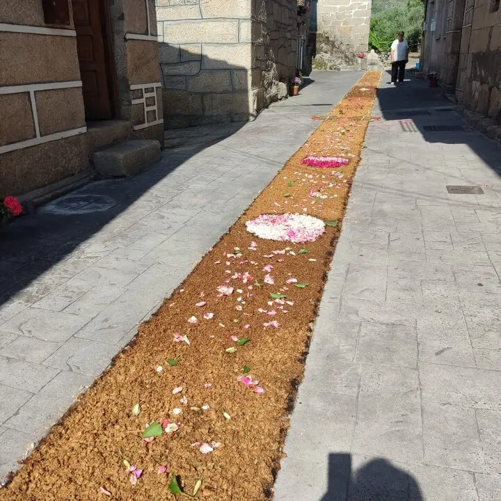 202506 Corpus O&iacute;mbra, alfombras florais  (10)