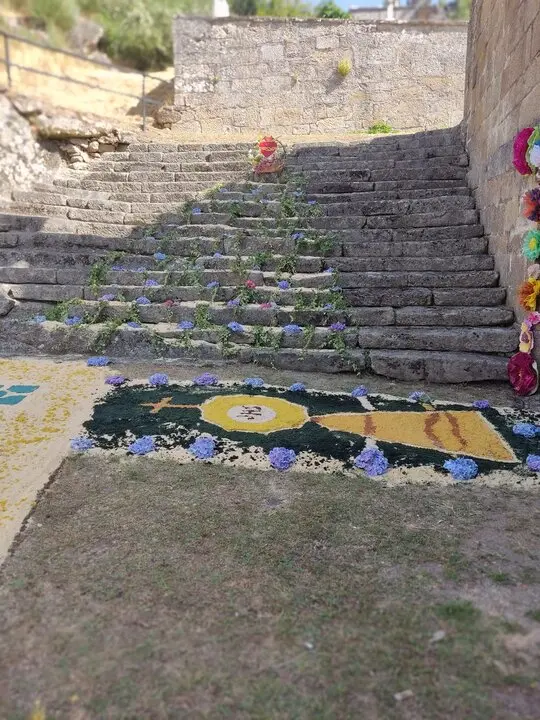 202506 Corpus O&iacute;mbra, alfombras florais  (11)