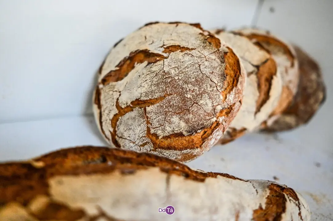 PANADERIA ROSCAS_julio 2025-39