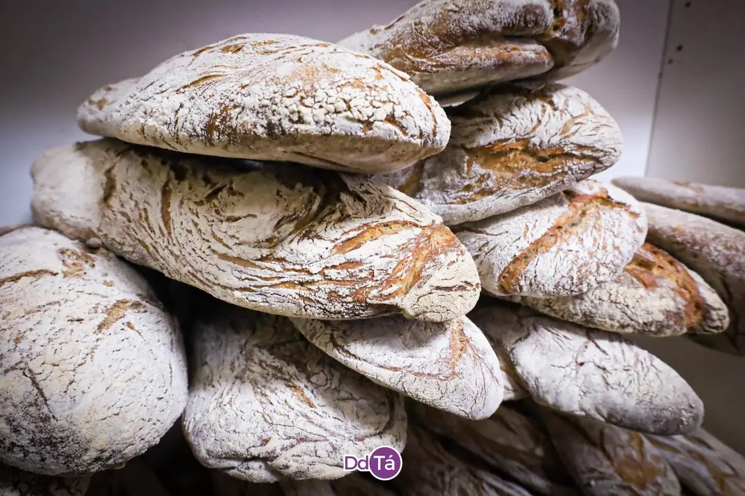 PANADERIA ROSCAS_julio 2041