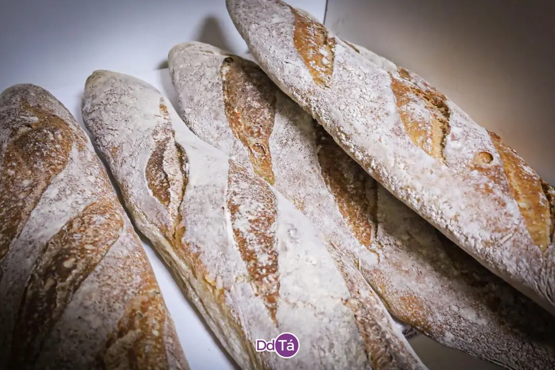 PANADERIA ROSCAS_julio 2042