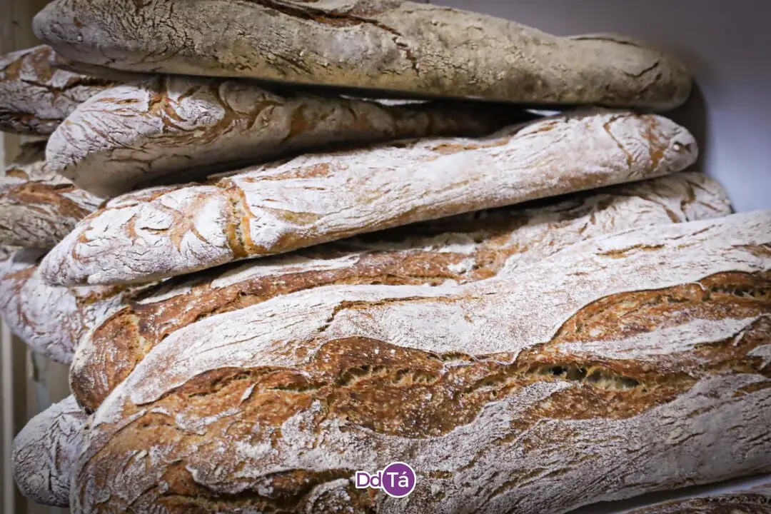 PANADERIA ROSCAS_julio 2043