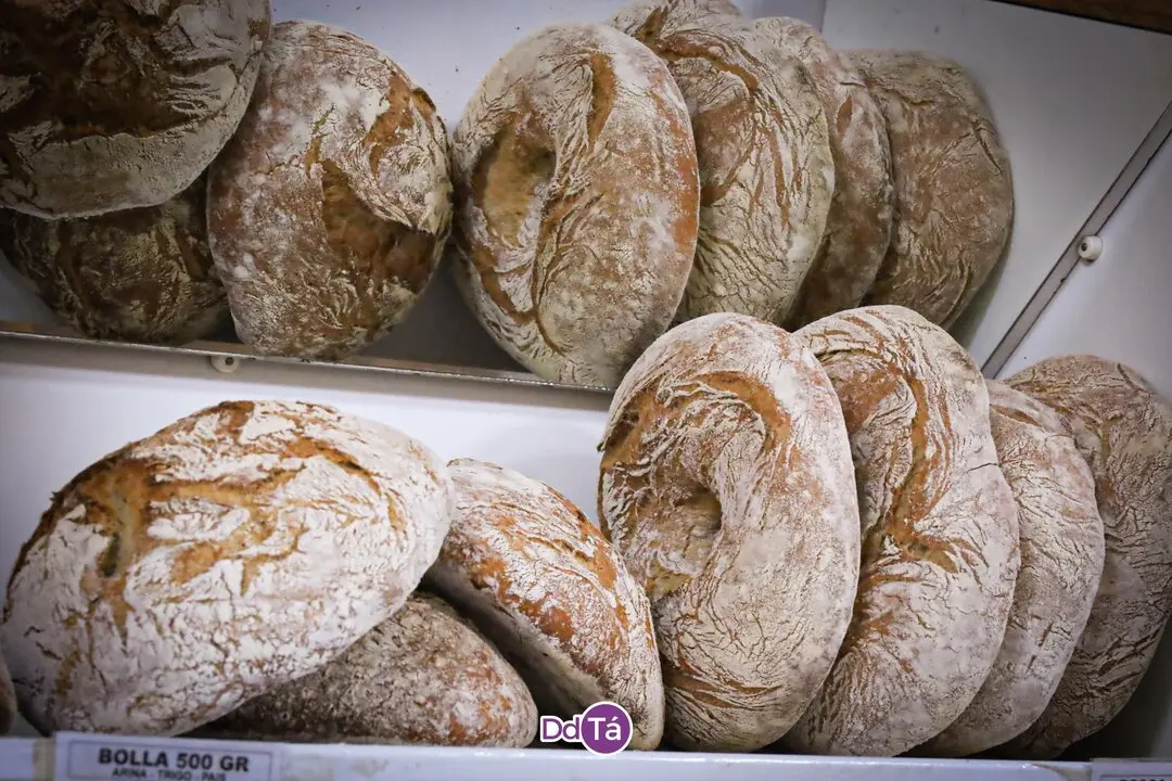PANADERIA ROSCAS_julio 2046