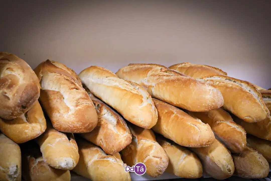 PANADERIA ROSCAS_julio 2047