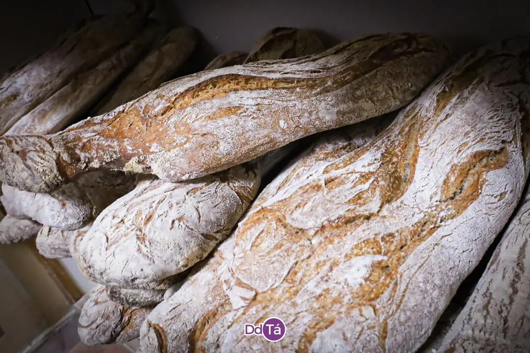 PANADERIA ROSCAS_julio 2051