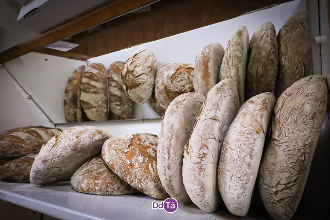 PANADERIA ROSCAS_julio 2055