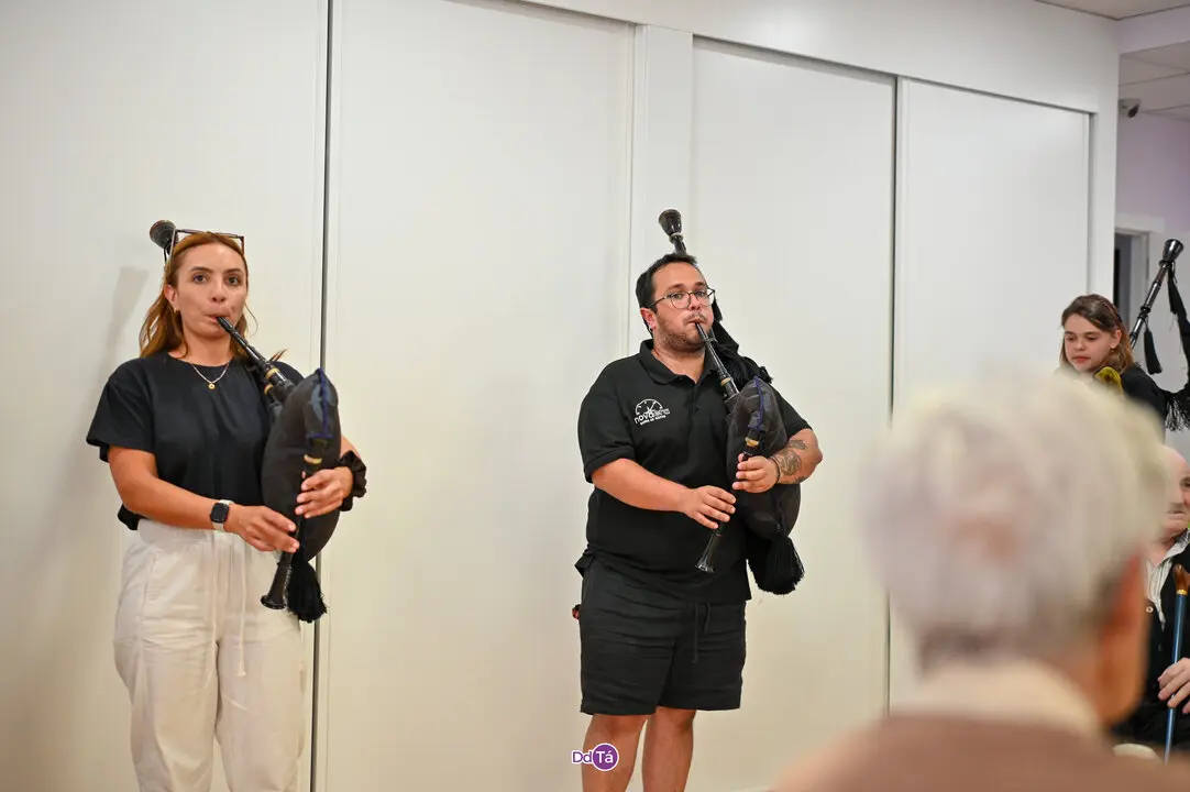 solleira nova era-10