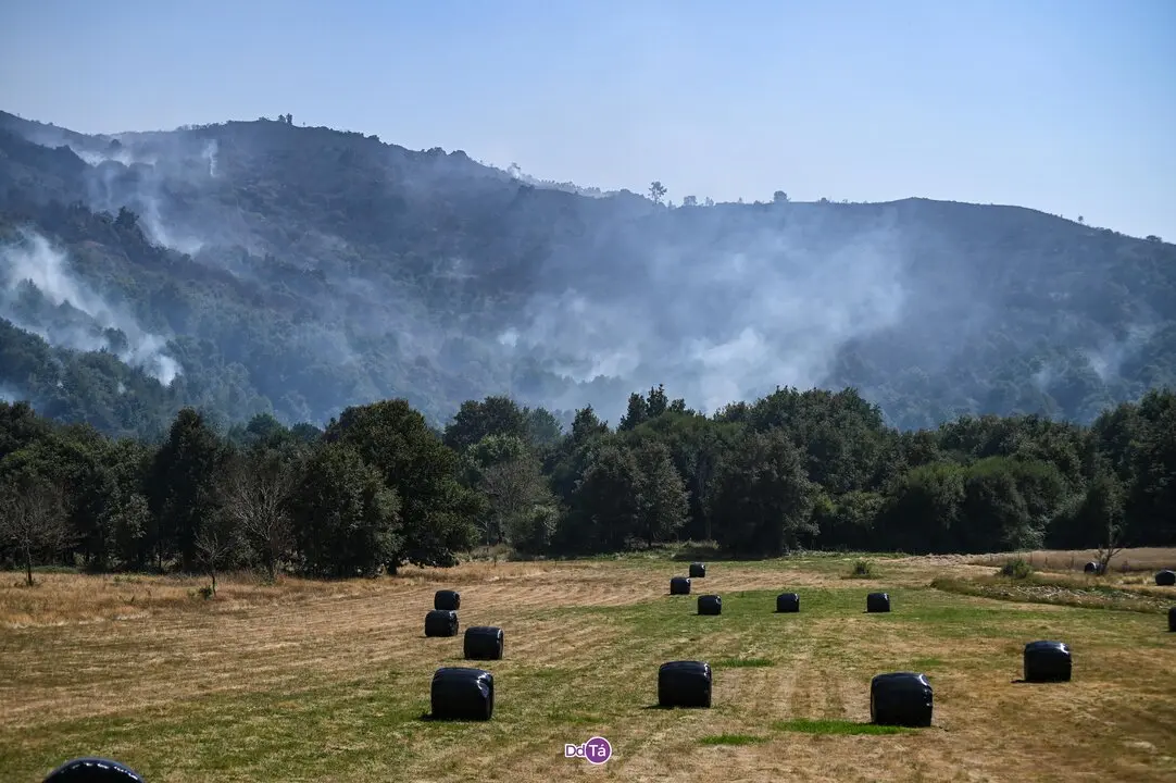 WhatsApp Image 2025-08-02 at 17.26.04 (2)