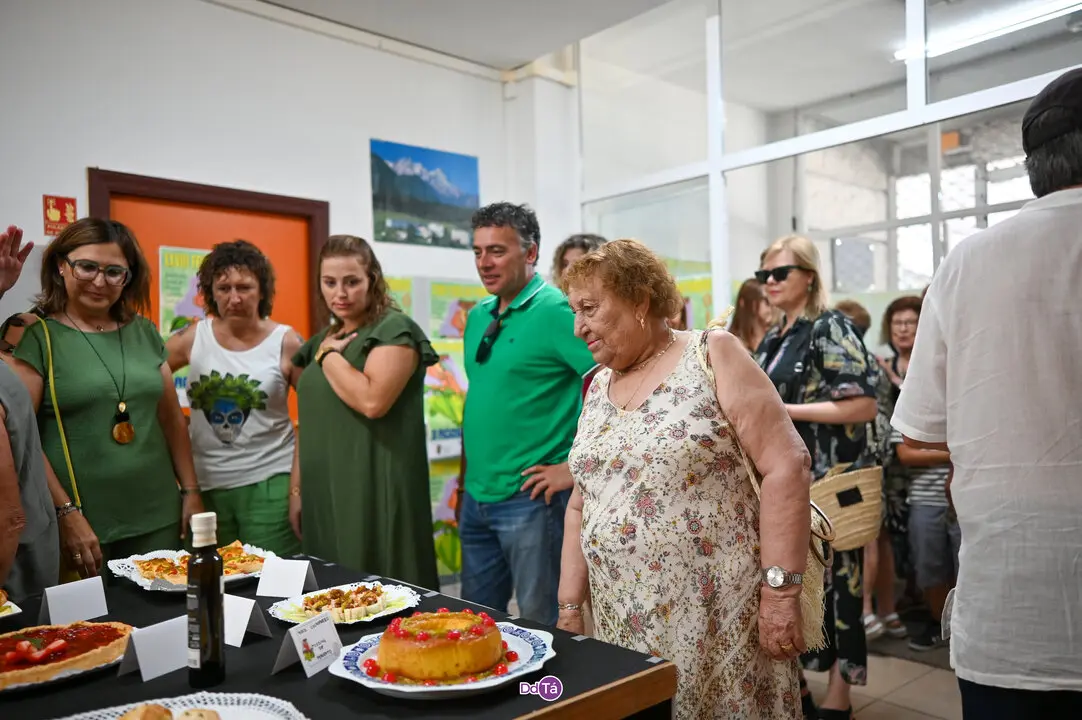 pemento oimbra 2025-317