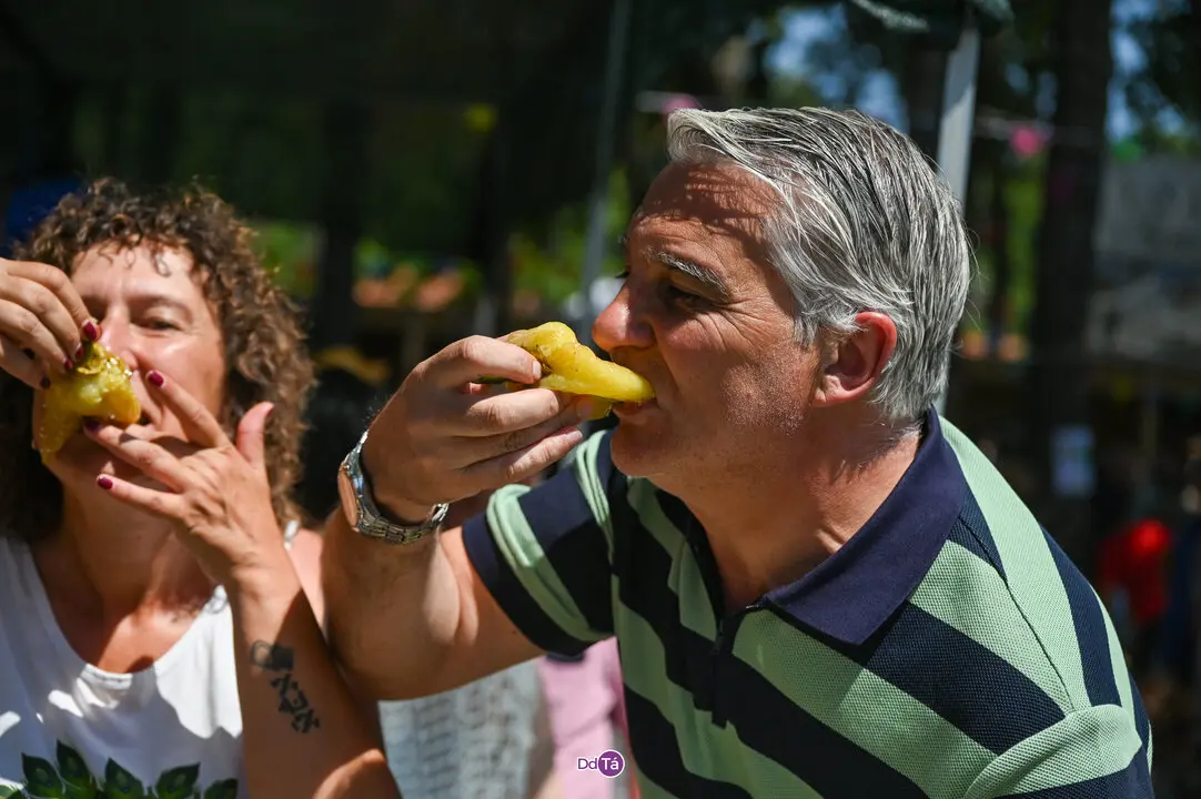 pemento oimbra 2025-337
