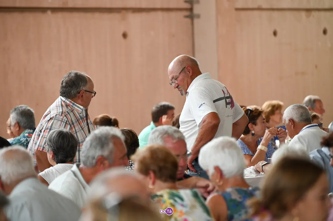 pemento oimbra 2025-361
