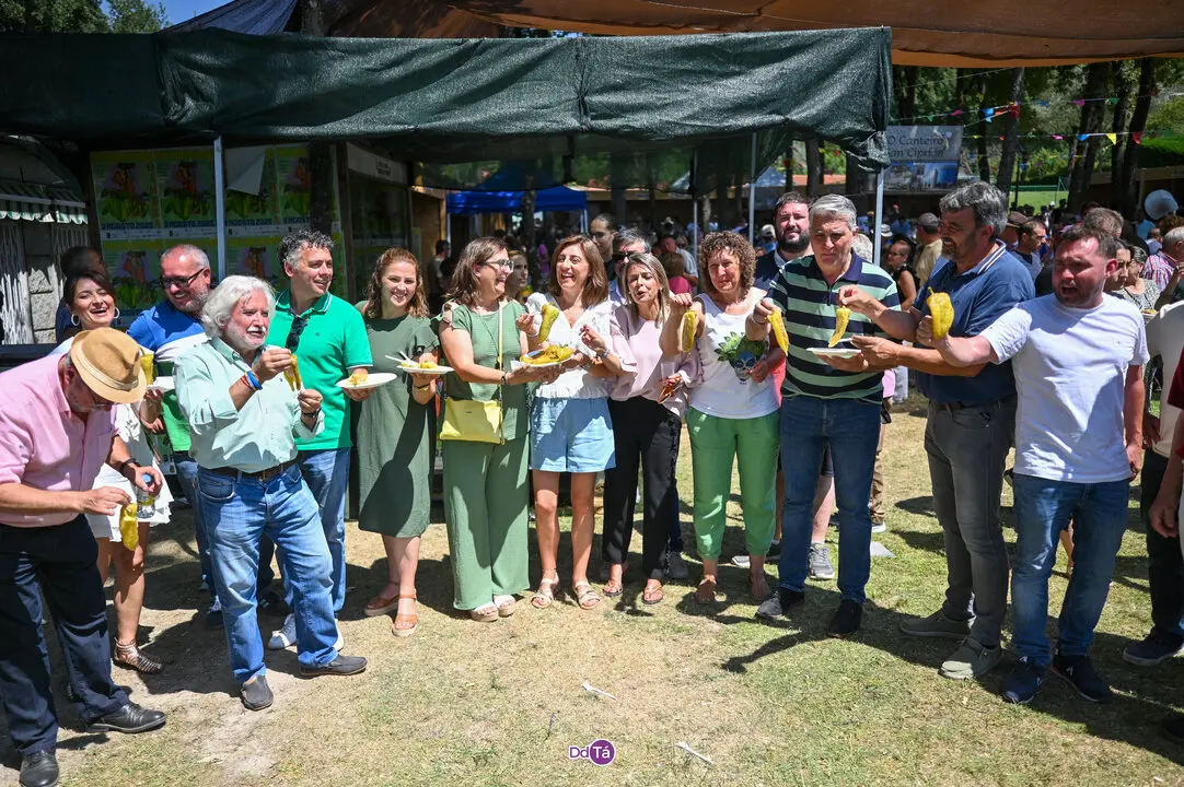 pemento oimbra 2025-372
