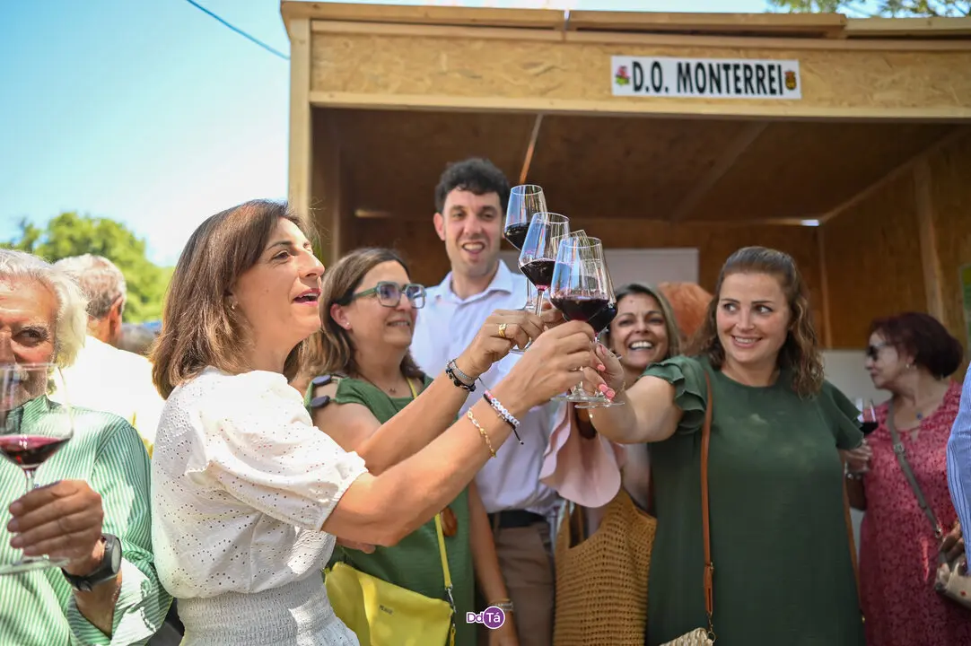 pemento oimbra 2025-389