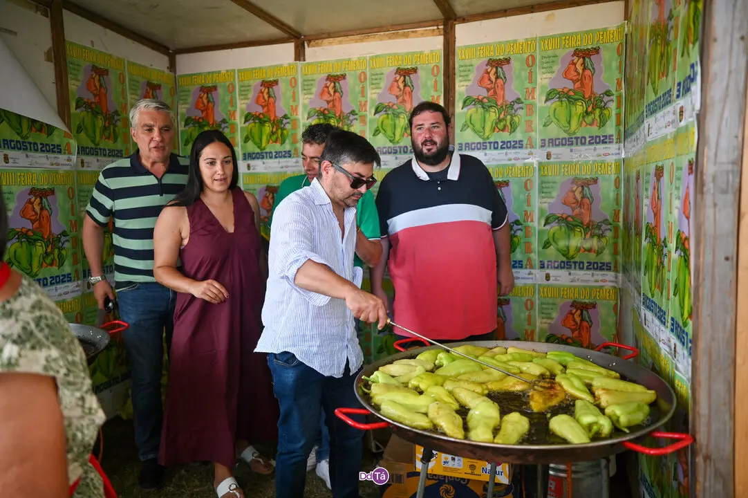pemento oimbra 2025-390
