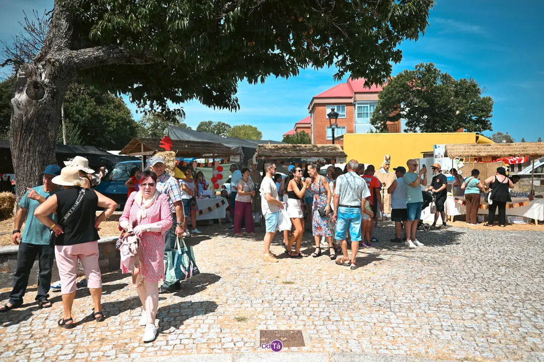 artesanato 2025-10