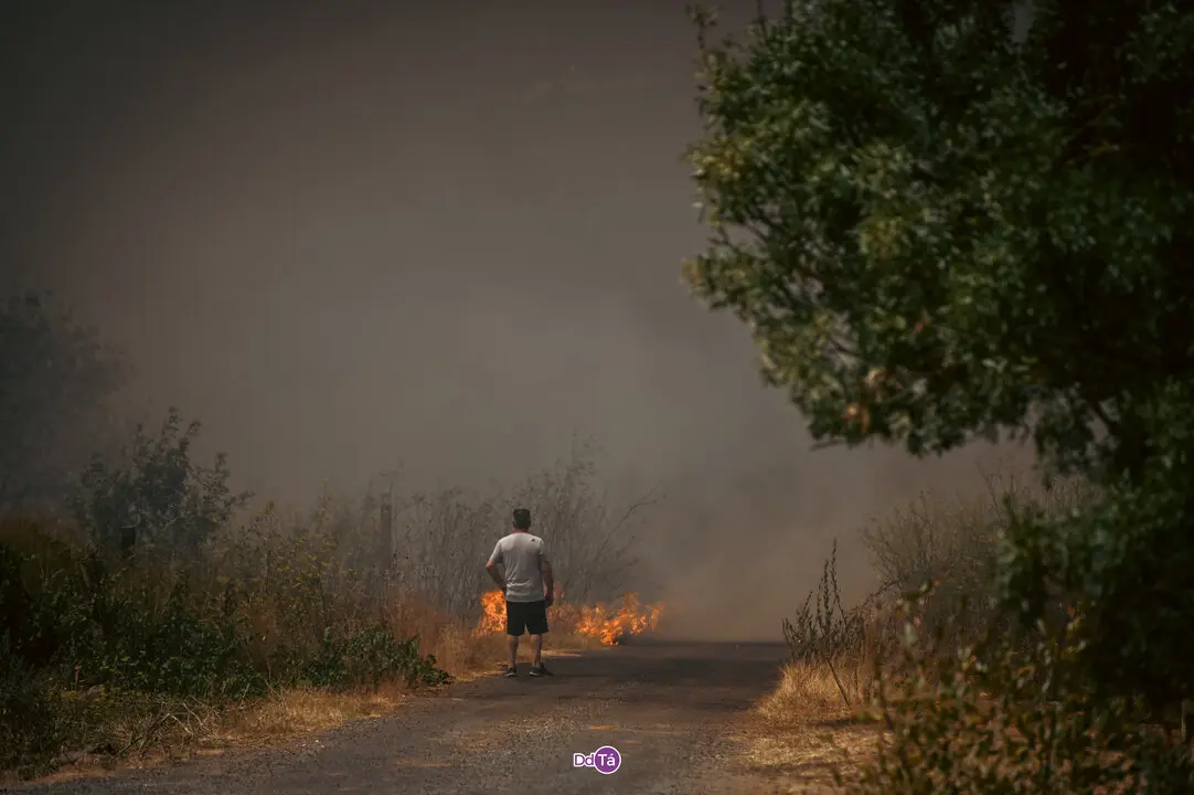 incendio mourazos-29