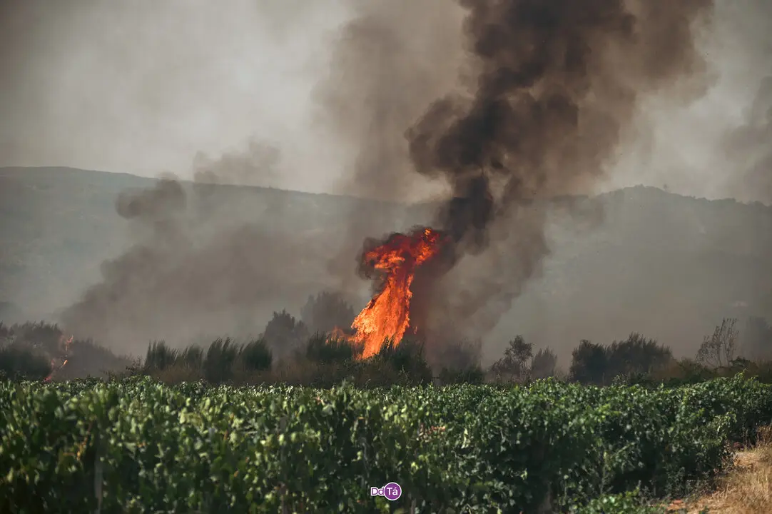 incendio mourazos-32
