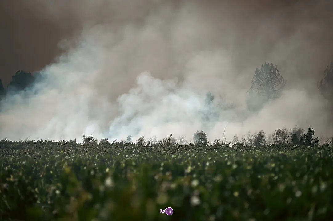 incendio mourazos-33