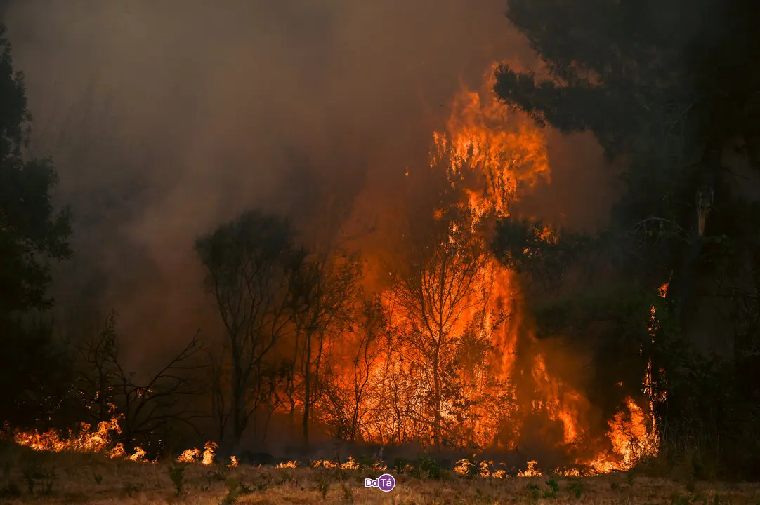 incendio mourazos-36
