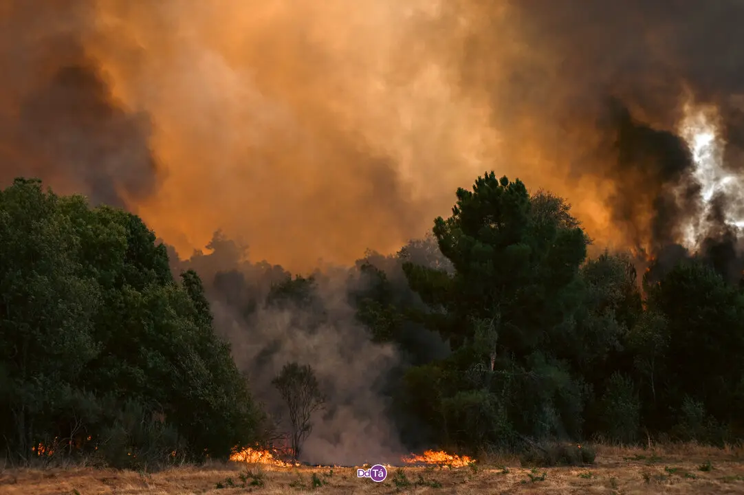 incendio mourazos-37