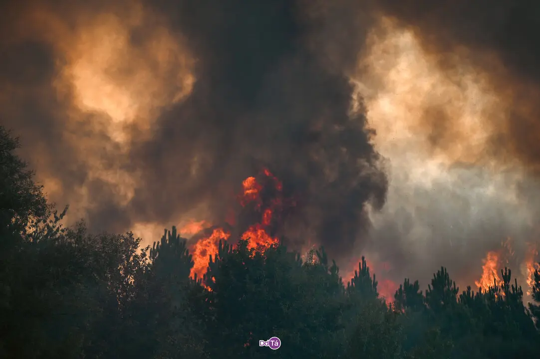 incendio mourazos-40