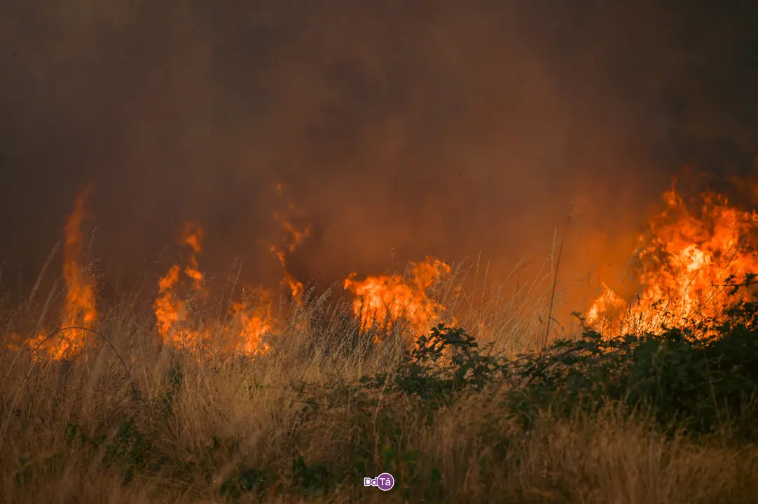incendio mourazos-43