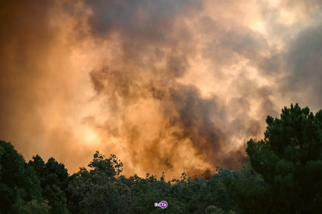 El incendio de Mourazos, este lunes, calcin&oacute; casi 10 hect&aacute;reas. | FOTO: Noelia Caseiro.