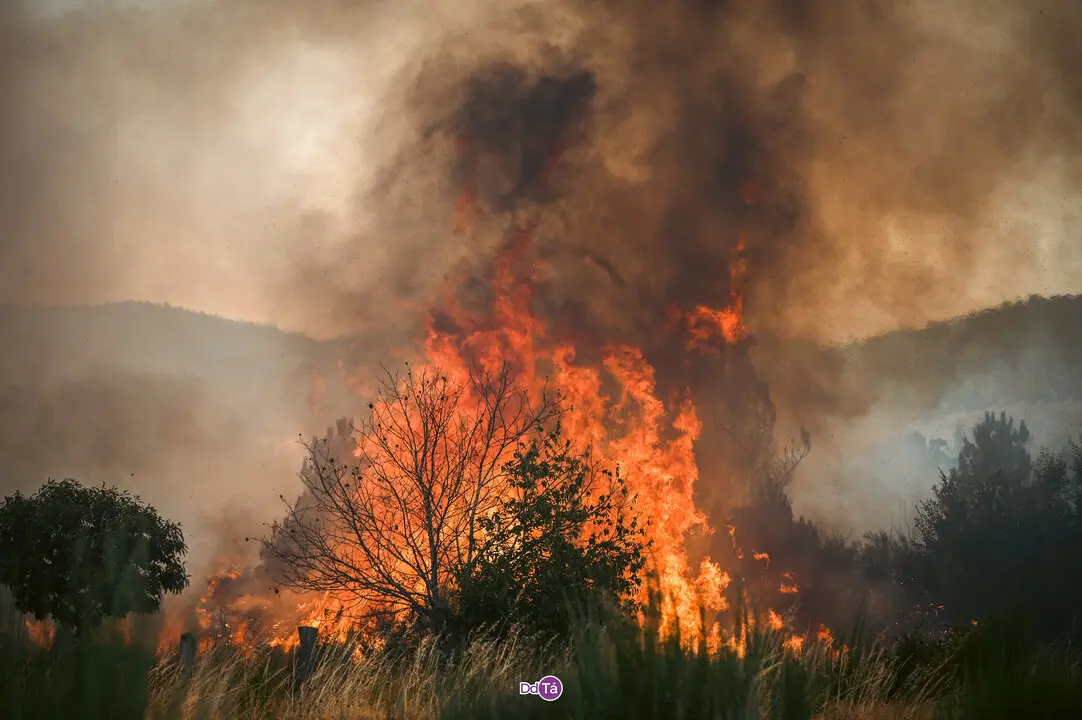 incendio mourazos-46