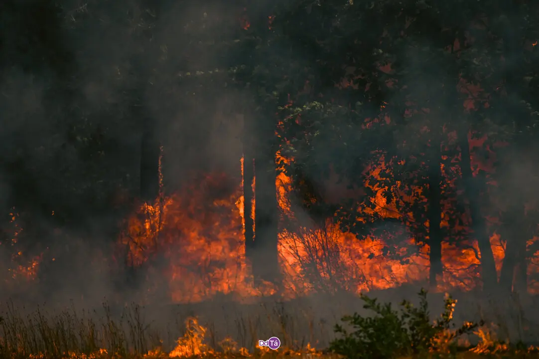 incendio mourazos-49