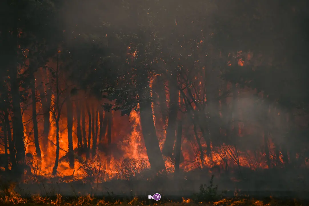 incendio mourazos-50