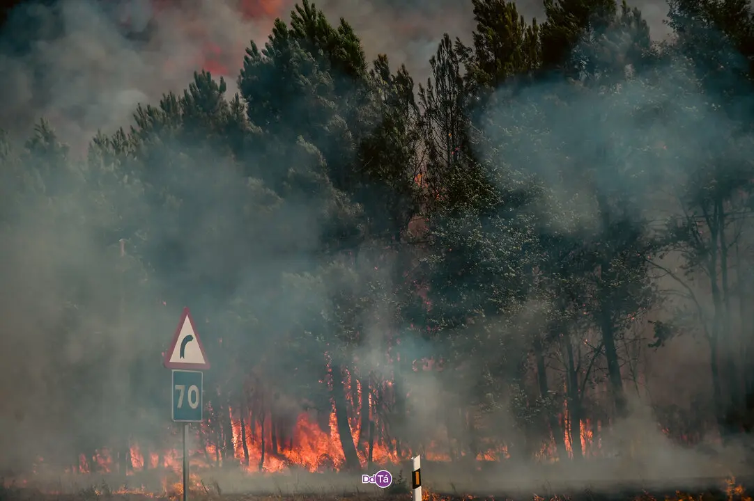 incendio mourazos-51