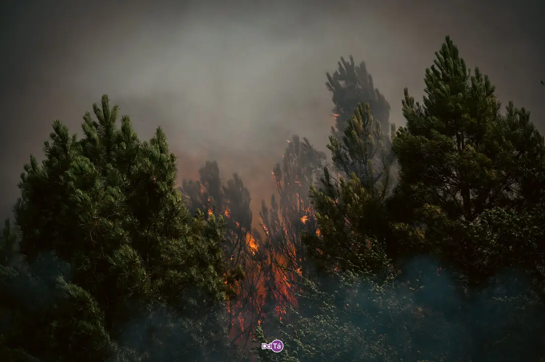 incendio mourazos-52