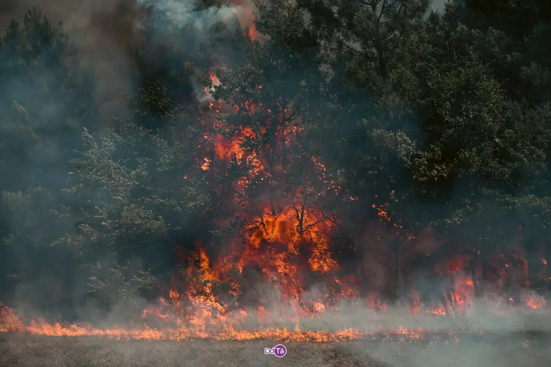incendio mourazos-53