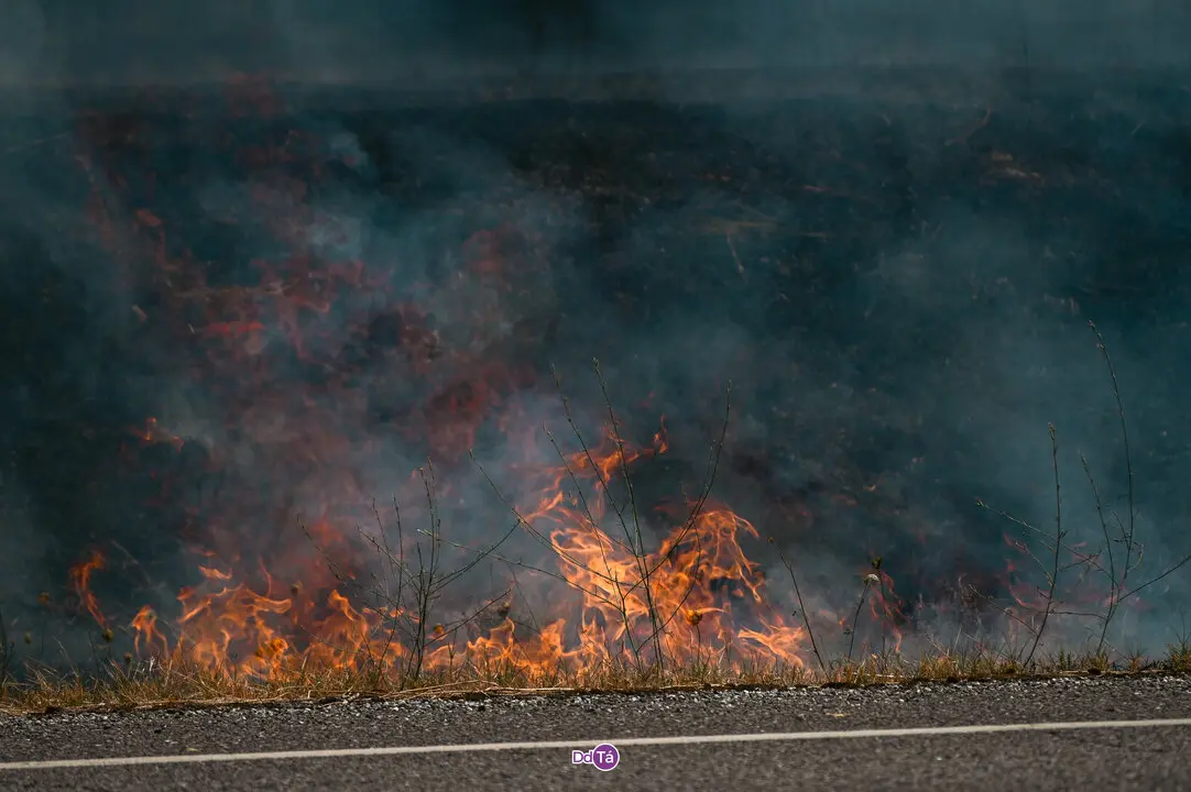 incendio mourazos-54