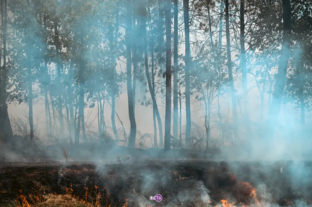 incendio mourazos-55