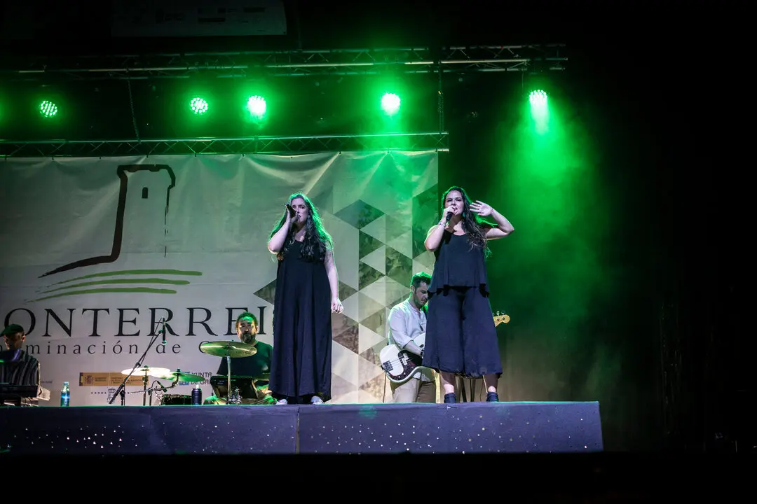 20250809 Feira do Vi&ntilde;o, concerto Guadi Galego (1)