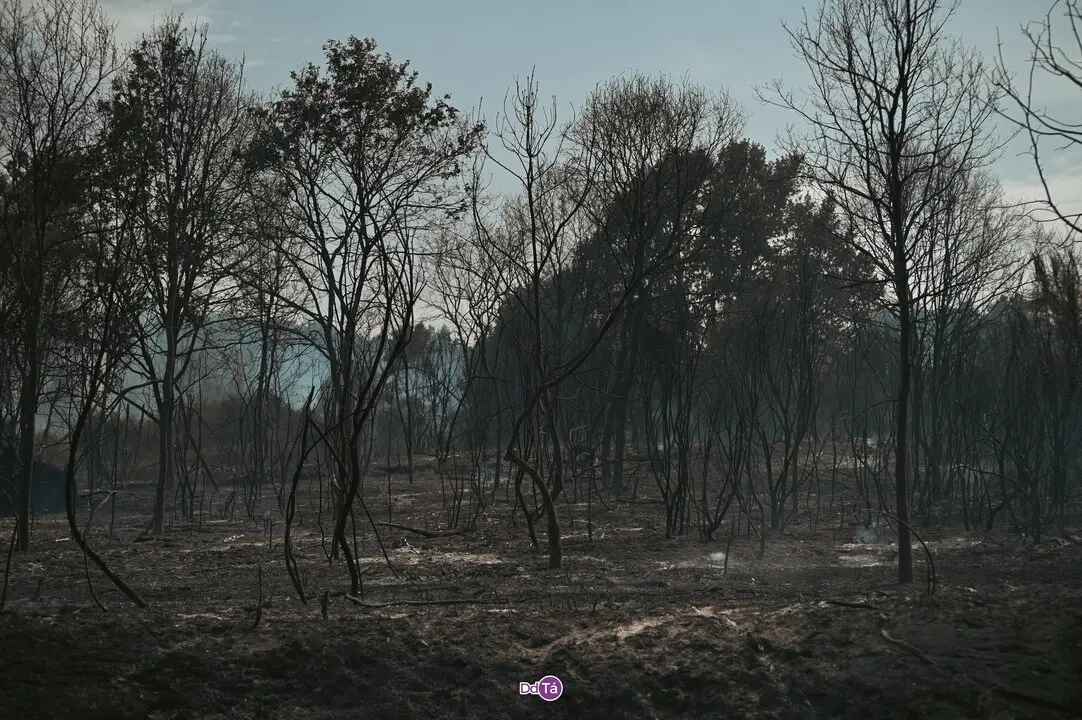 20250812 IFAGranxaO&iacute;mbra, incendio O&iacute;mbra, lume, as ch&aacute;s, a granxa, ladairo (2)