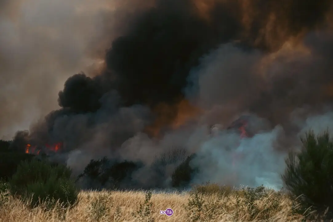 20250812 IFAGranxaO&iacute;mbra, incendio O&iacute;mbra, lume, as ch&aacute;s, a granxa, ladairo (44)