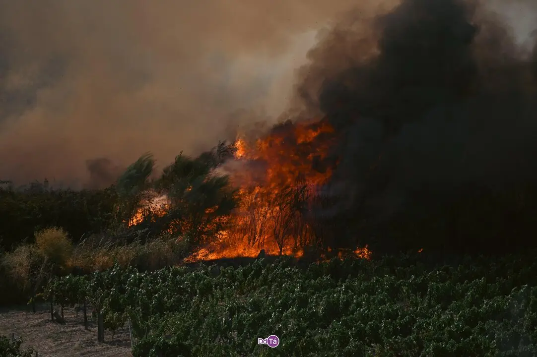 20250812 IFAGranxaO&iacute;mbra, incendio O&iacute;mbra, lume, as ch&aacute;s, a granxa, ladairo (56)