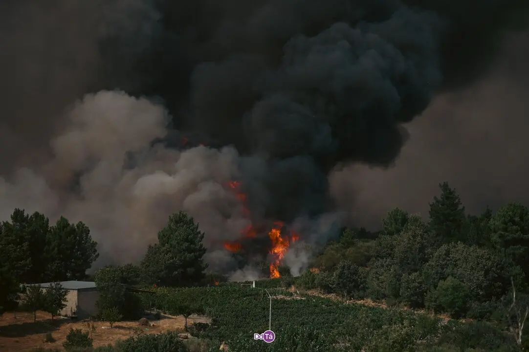 20250812 IFAGranxaO&iacute;mbra, incendio O&iacute;mbra, lume, as ch&aacute;s, a granxa, ladairo (61)