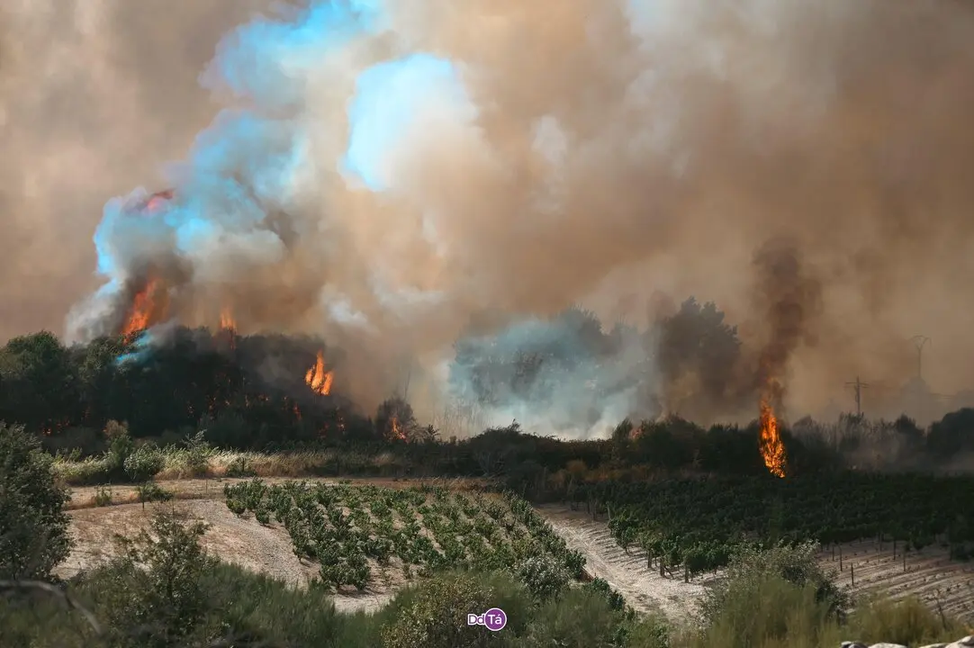 20250812 IFAGranxaO&iacute;mbra, incendio O&iacute;mbra, lume, as ch&aacute;s, a granxa, ladairo (63)