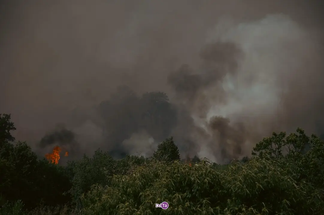 20250812 IFAGranxaO&iacute;mbra, incendio O&iacute;mbra, lume, as ch&aacute;s, a granxa, ladairo (69)