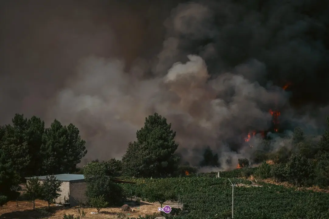 20250812 IFAGranxaO&iacute;mbra, incendio O&iacute;mbra, lume, as ch&aacute;s, a granxa, ladairo (70)